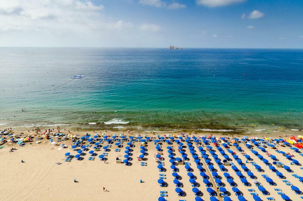 Las Palmeras 15D Apartamento Benidorm Exterior foto